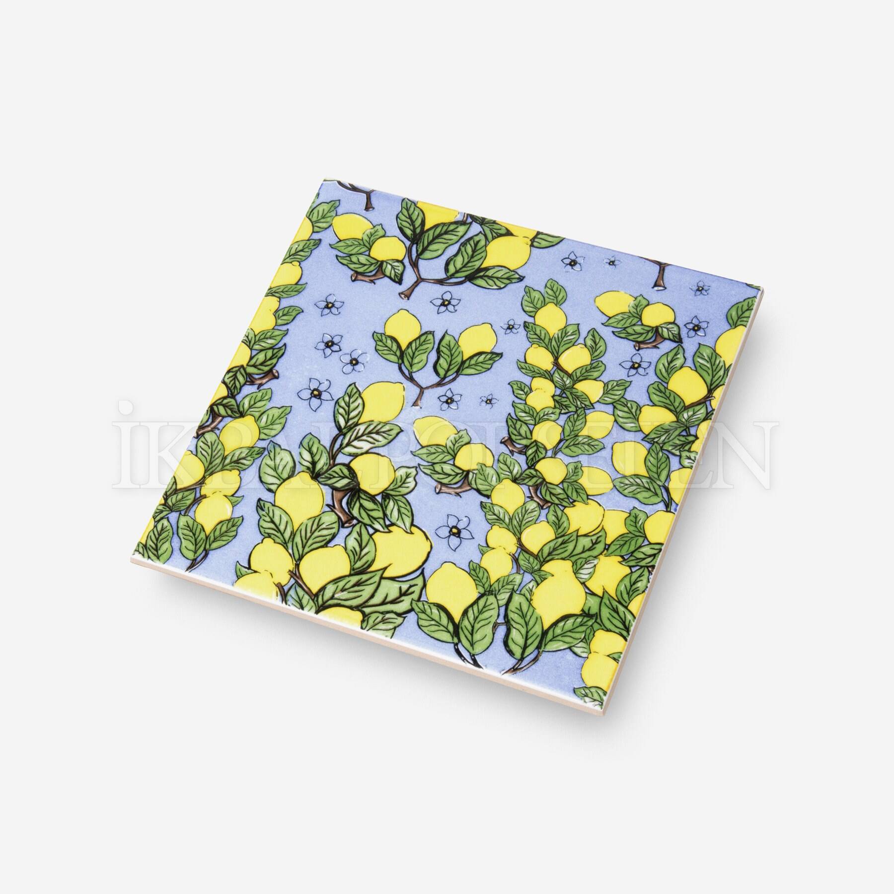 Konsept Desenler - 20x20 cm Porselen Karo ick3 - Görsel 2